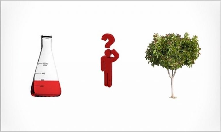 Dancer Wellness: Stay Healthy and Pain Free with These Effective Alternatives