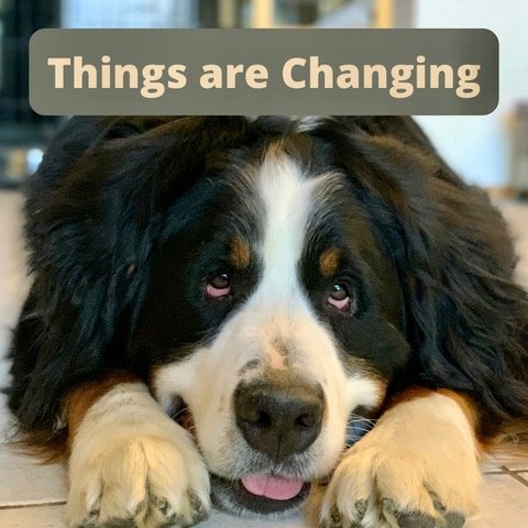 Pets: Things are changing
