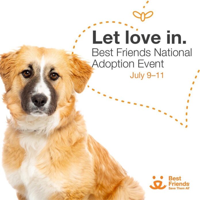 Let Love In: Best Friends National Adoption Event. July 9-11, 2021.