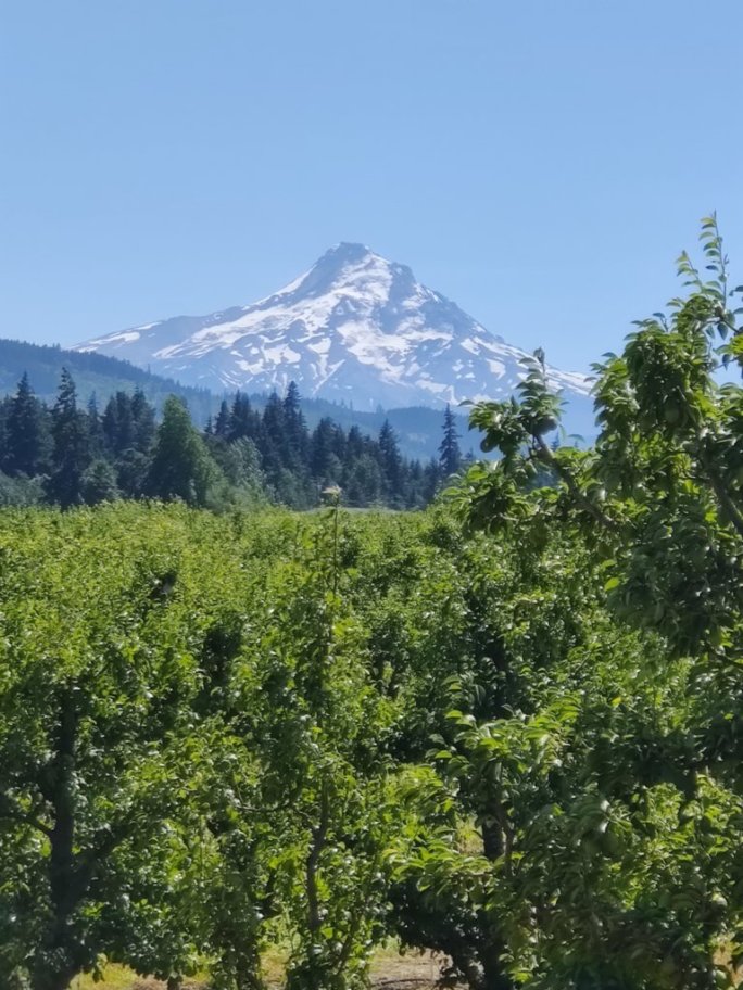 Hiking and Wine Tasting in the Columbia River Gorge