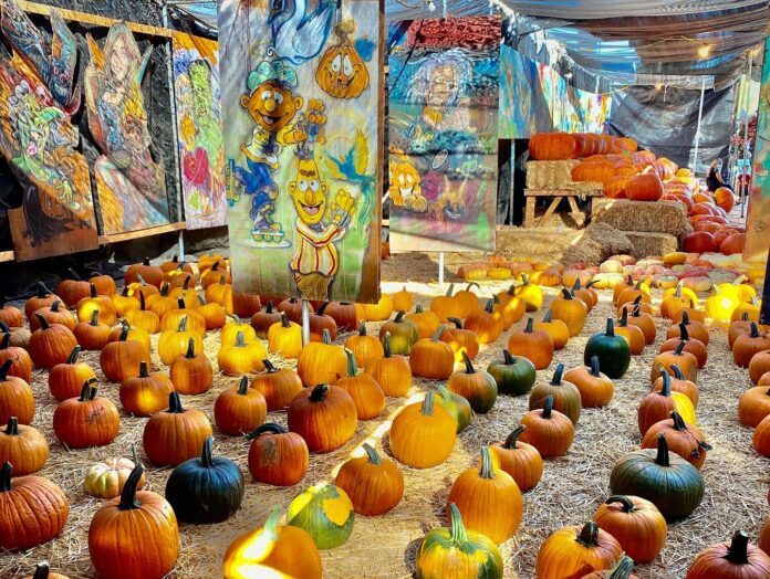 Toluca Lake Pumpkin Festival!