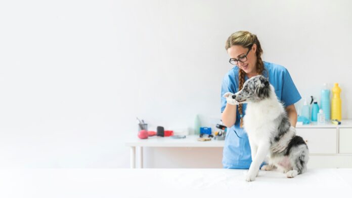 smiling-female-veterinarian-touching-dog-s-mouth-clinic_23-2147928396 Credit: freepik via FreePik