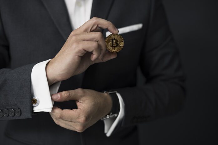 Crypto Startups - Why Should You Go For One?