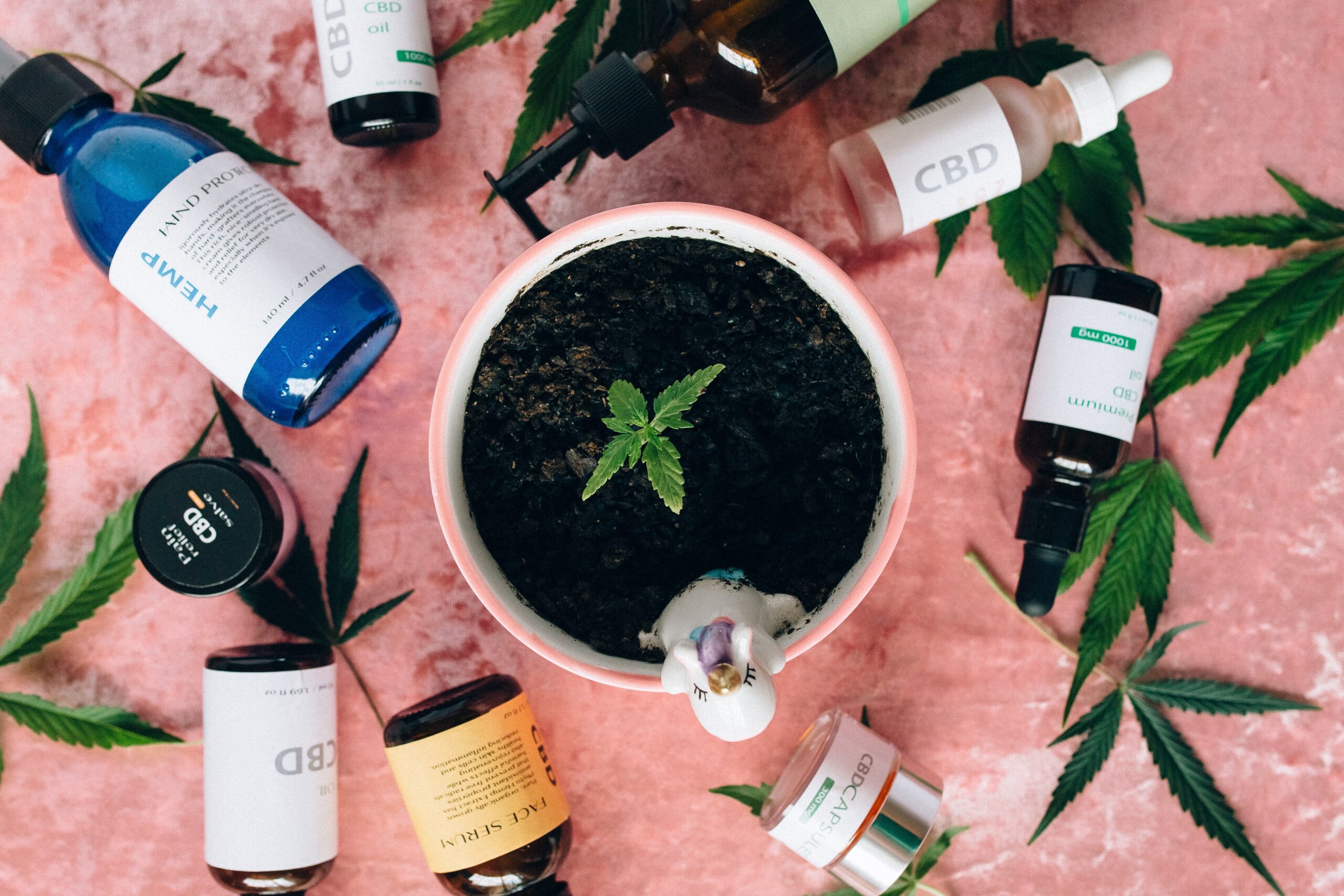 5 Easy Ways to Use CBD Dry Flower - NoHo Arts District - Theatre, Food,  Bars, Shopping and a buzzing community.