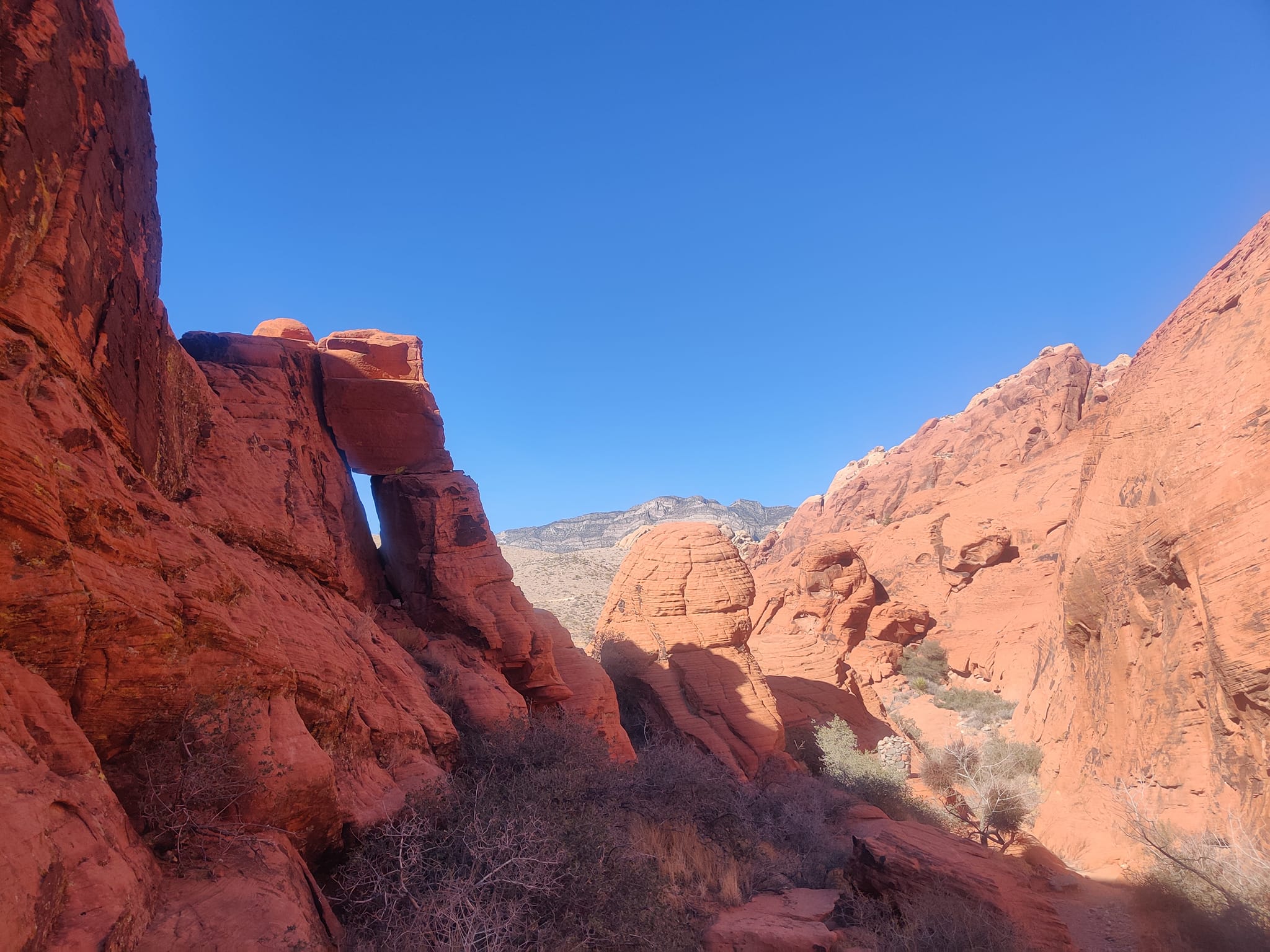 Welcome to Fabulous…Red Rocks.