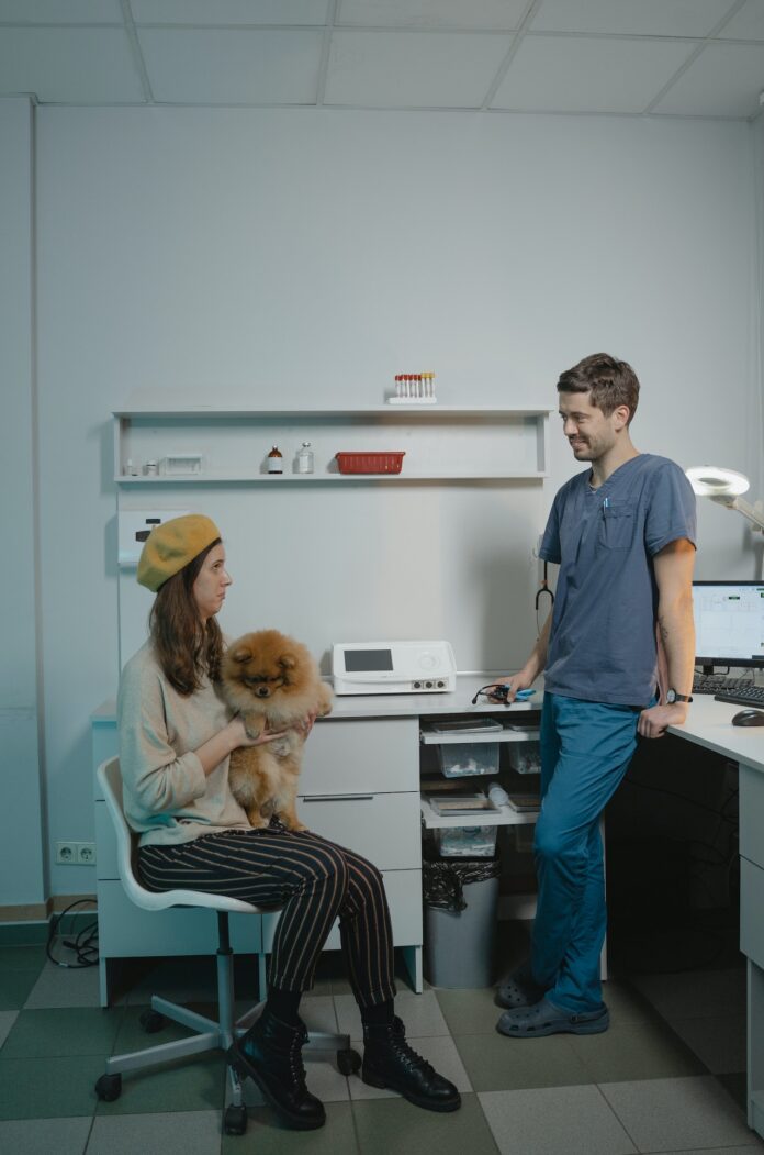 pexels-tima-miroshnichenko-6235049 Decoding Vet Bills: Why Does Pet Healthcare Cost So Much?