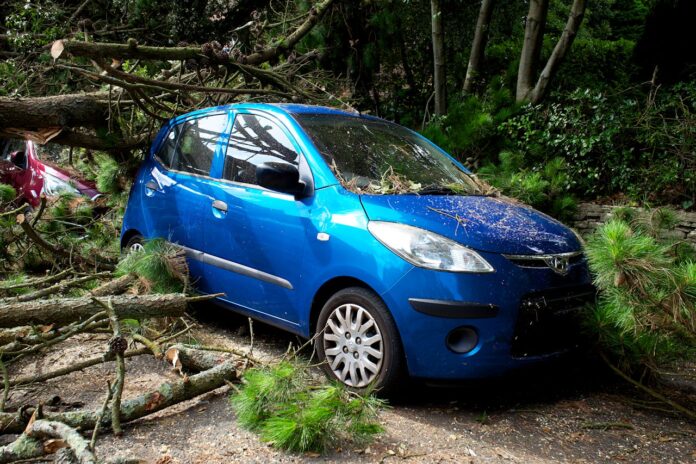 Blue car damaged by fallen trees after a car accident