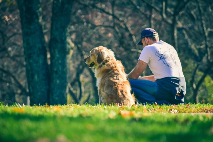 Man crouching outdoors beside a senior dog.