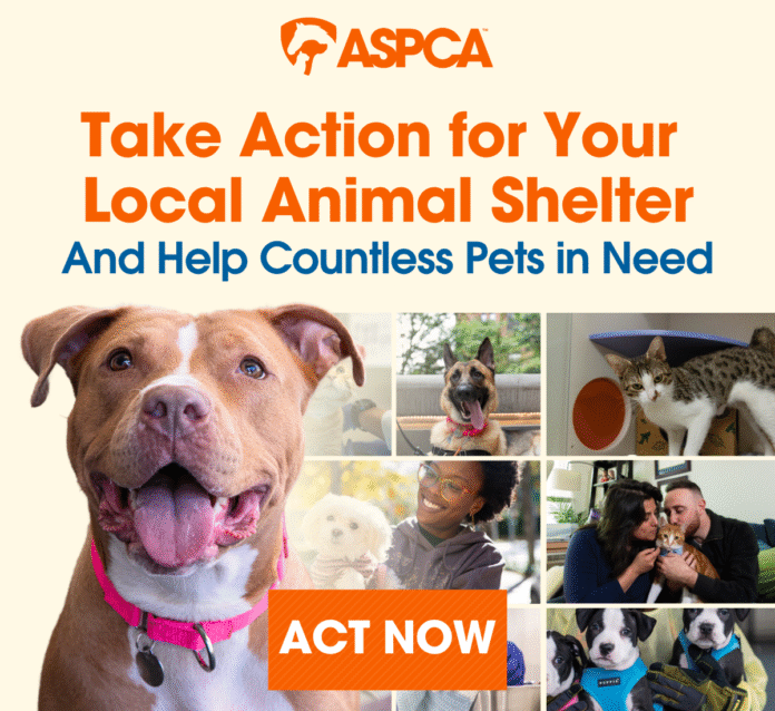 ASPCA poster ASpCA take action for your local animal shelter postcard