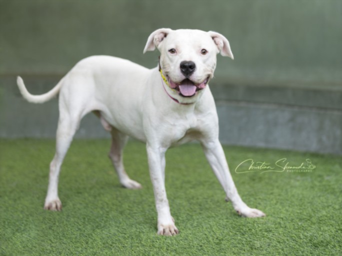 Meet Rodney