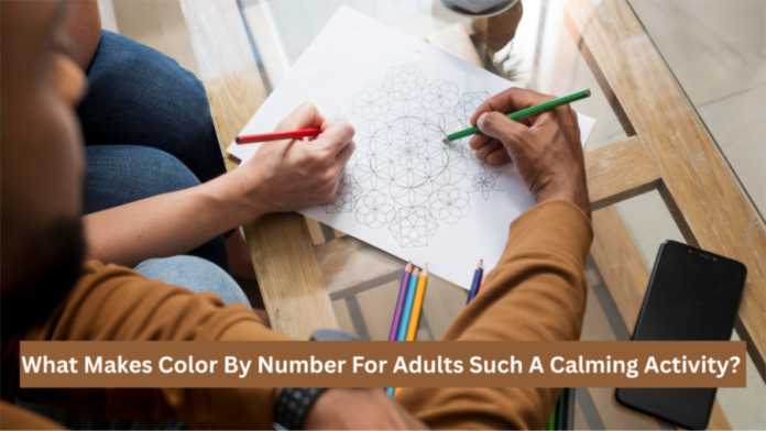 What Makes Color By Number For Adults Such A Calming Activity? 