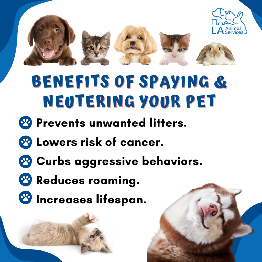 Benefits of spaying and neutering pets during Spay and Neuter Awareness Month