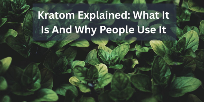 Kratom leaves background with text Kratom Explained What It Is and Why People Use It