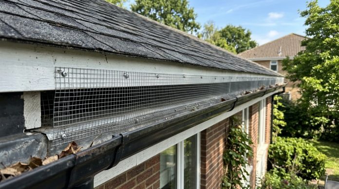 Bird control methods using mesh installed along roof edge and gutter to prevent nesting on a residential home