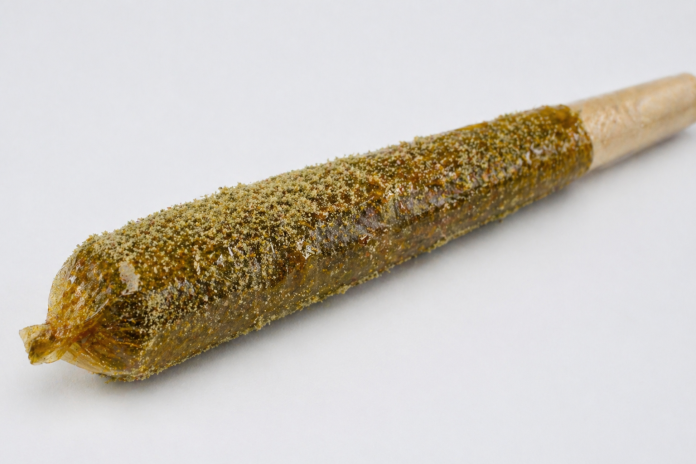 infused pre-roll coated in kief and live resin close up showing texture and potency