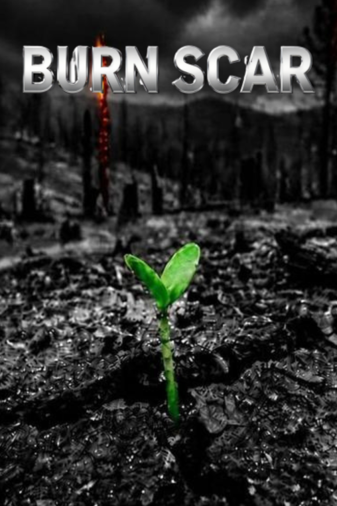 Green seedling emerging from a wildfire burn scar surrounded by charred earth and burned trees, symbolizing resilience, recovery, and hope in Burn Scar, Christine Dunford's Hollywood Fringe Festival solo show.