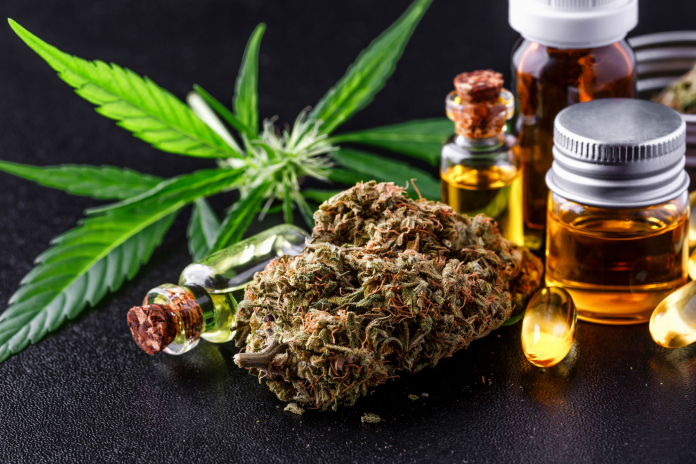 Cannabis flower buds with cannabis oil bottles, tinctures, and capsules arranged on dark surface beside cannabis leaf