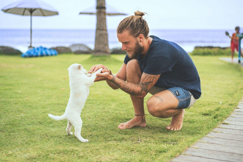 Man kneeling on a grassy lawn while gently interacting with a small white dog, illustrating the emotional bond, trust, and confidence-building that support pet recovery and well-being.