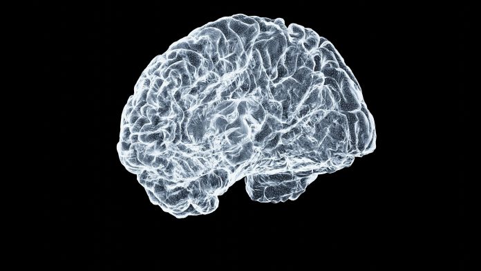 8d6bedba-56ed-4dad-8e1f-44377001aee6 Why does déjà vu happen? Digital illustration of the human brain and memory processing systems.