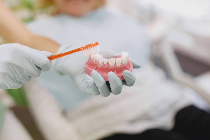 Dentist demonstrates proper tooth brushing technique on a dental model during a preventive dental care appointment.