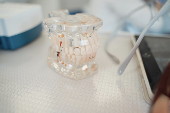 Screen Shot 2026-06-15 at 10.25.07 AM Zirconia dental implant displayed in a dental model demonstrating a ceramic tooth replacement solution for missing teeth.