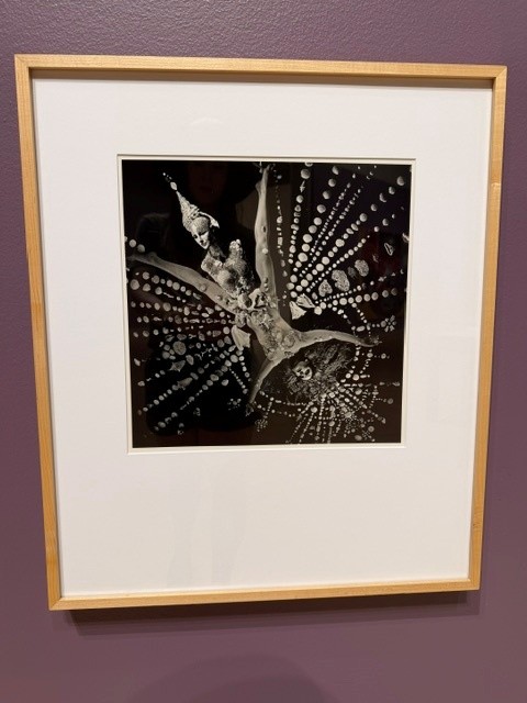 Black-and-white artwork of a winged figure surrounded by celestial patterns in A Queer Arcana: Art, Magic, and Spirit.