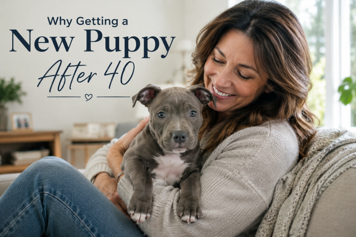 Woman over 40 cuddling a pit bull puppy at home, representing the companionship and benefits of getting a new puppy in midlife.