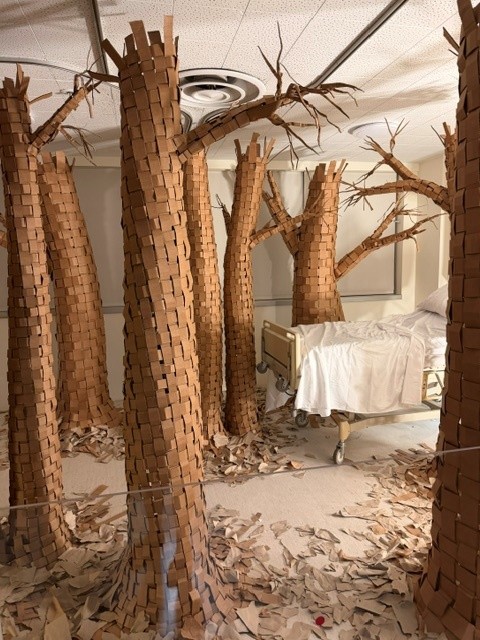 Hospital room transformed into a forest of sculptural cardboard trees surrounding a patient bed.