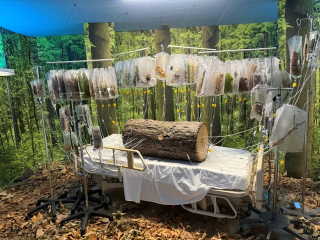 Hospital bed surrounded by IV bags filled with natural materials in a forest-inspired immersive art installation.