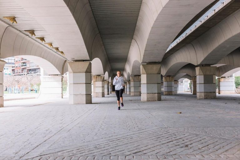 A $62-Million Park Beneath a Bridge That Couldn’t Save Itself