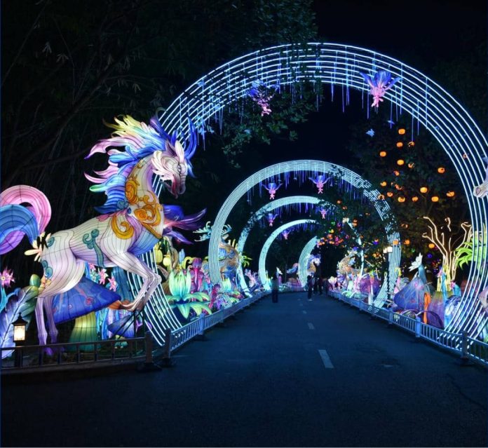 An illuminated nighttime light trail features glowing archways, colorful fantasy sculptures, and decorative lighting along a wide walking path, creating an immersive visitor attraction.