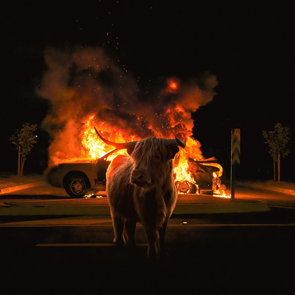 Zoltan Toth’s Lost #3, a nighttime photograph of a Highland cow standing in front of a vehicle engulfed in flames.