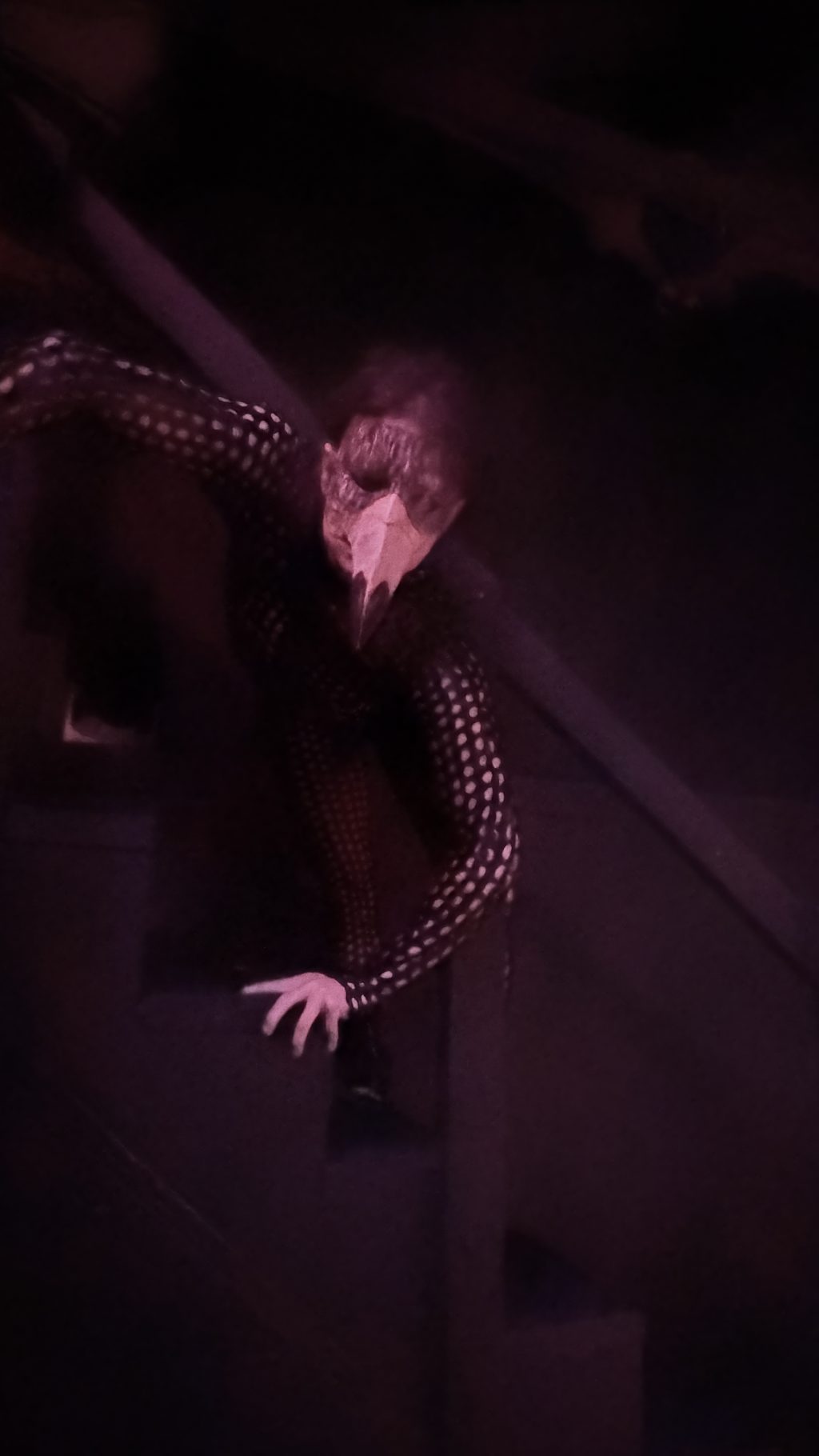 A sinister bird-masked performer in black mesh reaches forward in Zombie Joe's Urban Death Tour of Terror ULTRA.